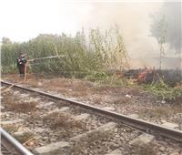 الحماية المدنية بالغربية تسيطر على حريق بجوار شريط السكة الحديد 