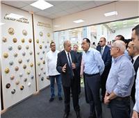 تفاصيل تفقد رئيس الوزراء مصنع شركة بورسعيد للصناعات الكهربائية «أفينا»