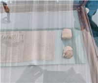  وزيري: عرض بردية كاملة ضمن كشف المينا الأثري بالمتحف المصري الكبير | فيديو 