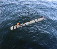 البحرية الأمريكية تطلب 9 غواصات ذاتية القيادة صغيرة تحت الماء