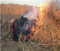 مجدى بدران يكشف مخاطر كبيرة لحرق قش الأرز 