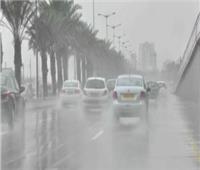 أمطار وشبورة.. «الأرصاد» تكشف تفاصيل حالة الطقس حتى السبت المقبل