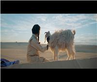 «The Goat» أول فيلم مصري يشارك بمسابقة «Alice Nella Citta» في روما