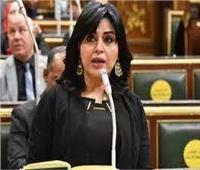 إعلام النواب تطالب بتحرك دولي لوضع حد لممارسات الاحتلال ضد الشعب الفلسطيني