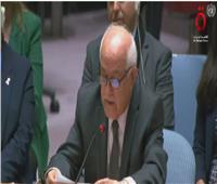 مندوب فلسطين بمجلس الأمن: نطالب العالم بوقف إراقة الدماء في غزة