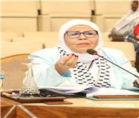 خاص| نائبة مصرية بالبرلمان العربي: مخطط التهجير هدفه إنهاء القضية الفلسطينية