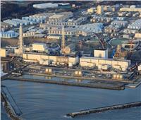 وكالة الطاقة الذرية تجمع عينات أسماك في فوكوشيما مع بدء تصريف مياه المفاعل 