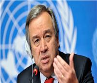 الأمم المتحدة: إطلاق مبادرة مصرية لوقف إطلاق النار وإقامة دولة فلسطينية حرة