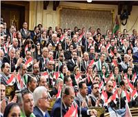 «نائبة حماة الوطن» تعلن تفويضها للرئيس السيسي لحماية الأمن القومي المصري‎