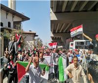 «كلنا فداكي يا فلسطين».. انطلاق مسيرة حاشدة للتنديد بجرائم الاحتلال ودعم الأشقاء| صور 