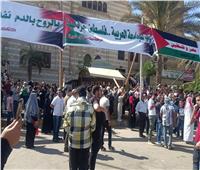 «سيناء مش للبيع».. هتافات غاضبة للمتظاهرين في ميدان الحصري بأكتوبر