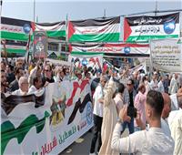 مسيرات حاشدة بالبحيرة لتفويض الرئيس للحفاظ على سيناء ودعم فلسطين | فيديو