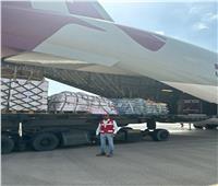 مطار العريش الدولي يستقبل مساعدات لـ«غزة» من قطر والهند