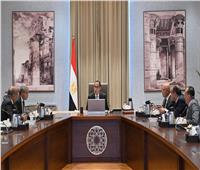 رئيس الوزراء يبحث سبل تنمية الصادرات المصرية لأفريقيا
