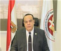 الجريدة الرسمية تنشر قرار هيئة الانتخابات بشأن تصويت المصريين بالخارج 