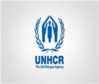 المفوضية العليا لشئون اللاجئين: 114 مليون نازح حول العالم بسبب الحرب والاضطهاد وانتهاكات حقوق الإنسان