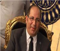 برلماني: مشهد اصطفاف الجيش الثالث الميداني فخر للشعب المصري بجيشه العظيم
