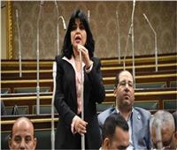 برلمانية: القمة المصرية الفرنسية تأكيد على موقف مصر الراسخ لدعم القضية الفلسطينية
