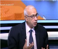 ما جهود الدولة المصرية لوقف إطلاق النار في قطاع غزة؟.. فيديو
