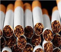 شعبة الدخان تطالب بقلب الهرم التوزيعي من الشركات لضبط سوق السجائر 