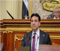 نائب: مصر تعمل بجدية للحيلولة دون توسّع دائرة الصراع إقليميًا