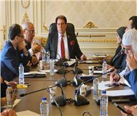 اللجنة العربية بالبرلمان تناقش مستجدات الأوضاع في فلسطين