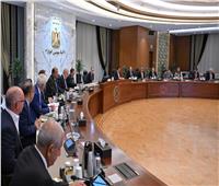 رئيس الوزراء يلتقي أعضاء الغرفة العربية الألمانية للصناعة والتجارة