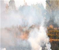 الجيش الإسرائيلي يدمر أهدافًا لحزب الله .. ويحرق 40 ألف شجرة زيتون معمرة جنوب لبنان
