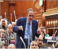 برلماني: مصر بذلت الكثير للقضية الفلسطينية.. وشهامة الرئيس تجلت في كثير من المواقف 
