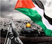 مجلس القبائل والعائلات المصرية يدعم الأشقاء بـ «فلسطين عربية»