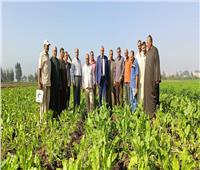 وكيل «زراعة الغربية» يشهد ندوة إرشادية عن محصول بنجر السكر