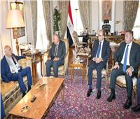 وزير الخارجية يلتقي أمين سر اللجنة المركزية لحركة فتح في القاهرة 