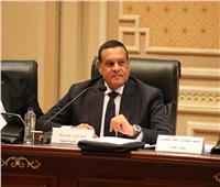 وزير التنمية المحلية: استثمارات الدولة في شمال سيناء بلغت 283 مليار جنيه خلال 10 سنوات 