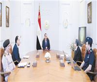  السيسى: تحقيق طفرة تضمن قدرة الدولة على حماية الأمن الغذائى للمصريين