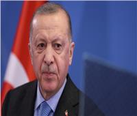 أردوغان: علينا رفع صوتنا عاليا من أجل وقف العدوان الإسرائيلي على غزة