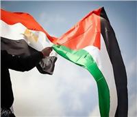 مصر تشارك في «المؤتمر الإنساني» في باريس تضامنا مع غزة