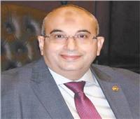 «خبراء الضرائب»: دعم المستثمر المصري يحقق وفرة اقتصادية ويزيد الاستثمارات الأجنبية 