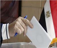 الموعد الرسمي للانتخابات الرئاسية داخل وخارج مصر 