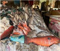 أسعار الأسماك في سوق العبور اليوم الثلاثاء 14 نوفمبر