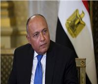 وزير الخارجية: مصر ستواصل جهودها لإقامة الدولة الفلسطينية على حدود 67