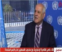 مندوب فلسطين بالأمم المتحدة: مصر تقف بجانب القضية بعز وكرامة