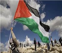 محلل سياسي: مصر أثبتت قدرة فائقة على التعامل مع القضية الفلسطينية