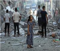 العرابي: نطالب الأمم المتحدة بالتحرك الفوري لإنقاذ أطفال غزة