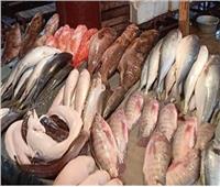 أسعار الأسماك في سوق العبور الثلاثاء 21 نوفمبر