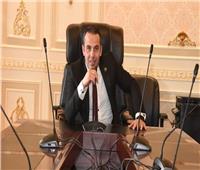 النائب محمد رضا البنا: جلسة اليوم تاريخية وكلمة رئيس الوزراء وجهت رسائل حاسمة برفض التهجير ‎