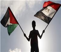 برلمانية: نرفض التهجير القسري لأهالي غزة ونثق في القيادة السياسية في التعامل مع الأزمة الفلسطينية ‎