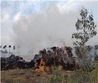 السيطرة على حريق نشب في كميات من قش الأرز بالبحيرة| صور 