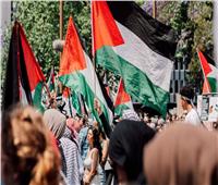 أستاذ علوم سياسية: هناك فرق بين من يرفع شعارات التضامن مع فلسطين ومن يعمل على ذلك