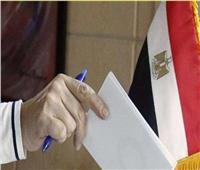 ناخب مصري في البحرين: مشاركتي في انتخابات الرئاسة أقل شيء نقدمه لمصر