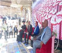 مؤتمر جماهيري لدعم المرشح الرئاسي عبدالفتاح السيسي بمدينة أسوان